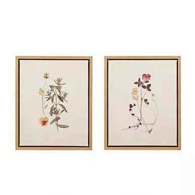image of French Herbarium 2-piece Framed Canvas Wall Art Set with sku:mt95c-0005-olliix