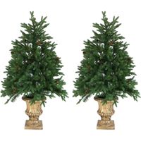Fraser Hill Farm 4.8' Noble Fir Potted Tree - Multi LED Lights, Set of 2, Battery Box