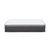 Equilibria 12 in. Medium Memory Foam & P...