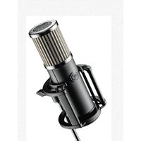 512 Audio - Skylight Microphone