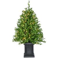 Fraser Hill Farm 48" Boxwood Tree in Black Pot, Warm White LED Lights