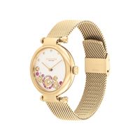 Coach  - Ladies Cary Gold-Tone Stainless...