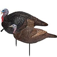 Primos Hunting Lil Gobstopper Hen and Jake Combo Decoy Light-Weight, Collapsible Hunting Decoy 69075