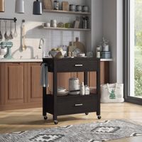 Newsom Modern 2-Drawer Caster Serving Cart with Towel Bar by Furniture of America - Cappuccino