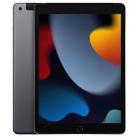 Apple - 10.2-Inch iPad with Wi-Fi + Cellular - 256GB - Space Gray (Verizon)