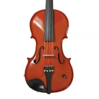 Barcus Berry BAR-AEV Vibrato AE Series Acoustic-Electric Violin. Natural