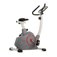 Sunny Health & Fitness Stationary Upright Exercise Bike with Performance Monitor, Tablet/iPad Device Holder, 275 LB Max User Weight with Body Fat and BMI Calculator - SF-B2952