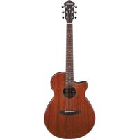 Ibanez AEG220 AEG Series Single-Cutaway Acoustic-Electric Guitar, Natural Low Gloss