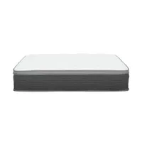 Equilibria 12 in. Medium Memory Foam & Pocket Spring Hybrid Euro Top Bed in a Box Mattress, Queen