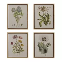 Herbal Botany 4-piece Botanical Illustration Framed Canvas Wall Art Set