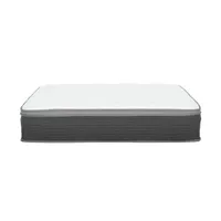 Equilibria 12 in. Medium Memory Foam & P...