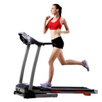Sunny Health and Fitness Treadmill