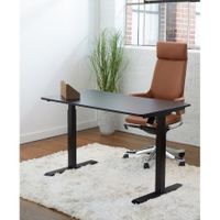 Rye Studio Electric Height Adjustment Standing Desk - Black