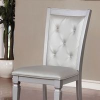 Transitional Silver Side Chair (2/CTN)