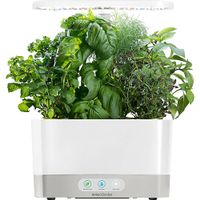 AeroGarden - Harvest - Indoor Garden - Easy Setup - 6 Gourmet Herb pods included - White