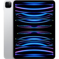Apple - 11-Inch iPad Pro (Latest Model) with Wi-Fi - 2TB - Silver