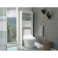 FM Furniture Hayward Over The Toilet Cabinet, with 1 Cabinet and 2 Shelves - White