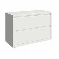 Hirsh 42-in Wide HL10000 Series 2 Drawer Lateral File Cabinet, White - White