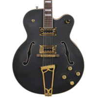 Gretsch G5191BK Tim Armstrong Signature Electromatic Hollow Body Electric Guitar. Gold Hardware, Flat Black