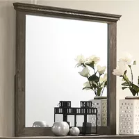 Transitional Solid Wood Framed Mirror in Gray