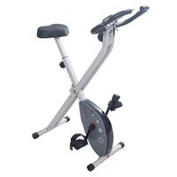 Sunny Health & Fitness Magnetic Foldable Exercise Bike - SF-B2989