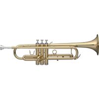 Stagg Brass and Stainless Steel Basic B-flat Trumpet With Case - Basic