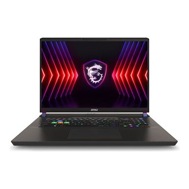 MSI Vector 17 HX A14VIG-839TAA - 17 - Intel Core i9 - i9-14900HX - 64 GB RAM - 2 TB SSD