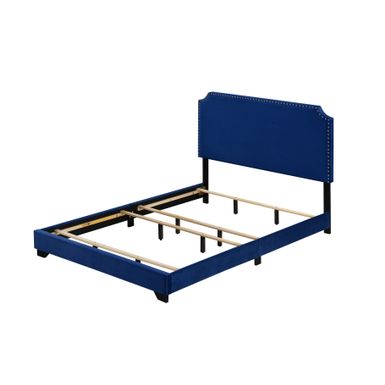 ACME Haemon Queen Bed, Blue Velvet