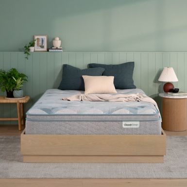 Dream Weaver 14.25" Medium Pillow Top Mattress -Queen