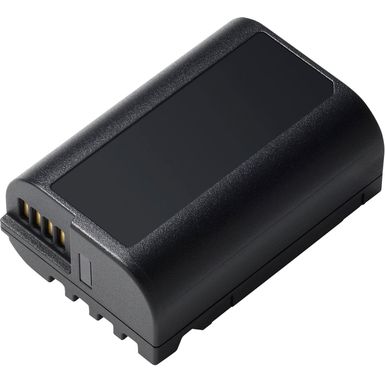 Panasonic DMW-BTC15 Battery Charger