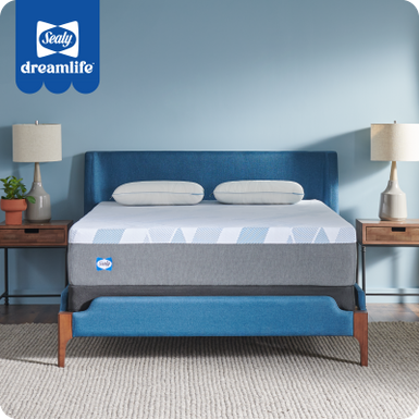 Sealy® Dreamlife™ 14” Hybrid Mattress-in-a-Box, Queen