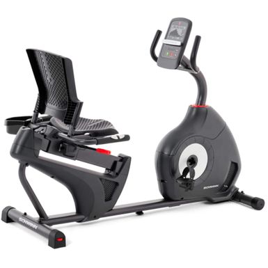 Schwinn - 230 Recumbent Bike - Gray