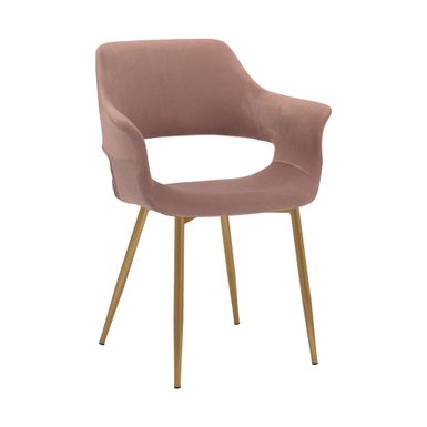 Gigi Pink Velvet Dining Room Chair with Gold Metal Legs - Set of 2