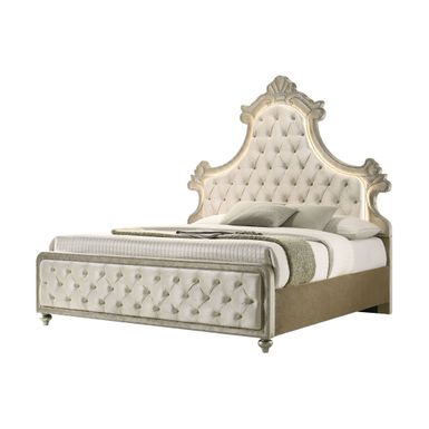 ACME Lucienne Queen Bed w/LED, Beige Velvet