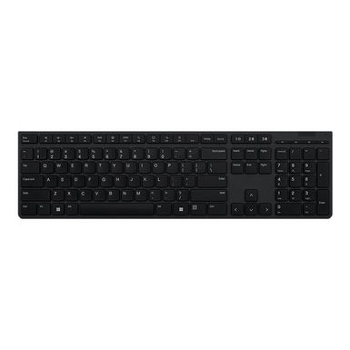 Lenovo Professional - keyboard - US English - gray Input Device