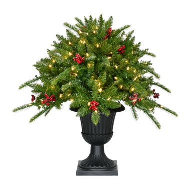 Fraser Hill Farm 24" Porch Tree Greenery w/ Berries in Black Pot, WW LED lights