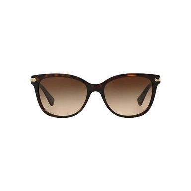 Coach L109 Sunglasses (HC8132-529113, Dark Tortoise/Dark Brown Gradient)