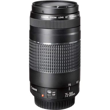 Canon - EF75-300mm F4-5.6 III Telephoto Zoom Lens for EOS DSLR Cameras - Multi