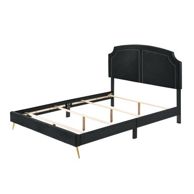 ACME Zeena Queen Bed, Black Velvet