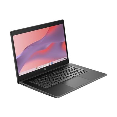 HP Fortis 14 G11 Chromebook - 14 - Intel N-series - N100 - 8 GB RAM - 64 GB eMMC - US