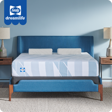 Sealy® Dreamlife™ 10” Foam Mattress-in-a-Box, CA King