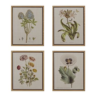 Herbal Botany 4-piece Botanical Illustration Framed Canvas Wall Art Set