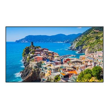 Panasonic TH-43EQ2W EQ2 Series - 43 Class (42.5 viewable) LED-backlit LCD display - 4K - for digital signage