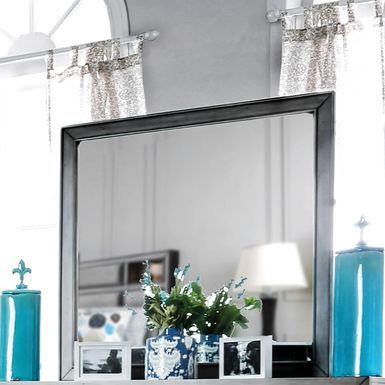 Transitional Mirror in Gray