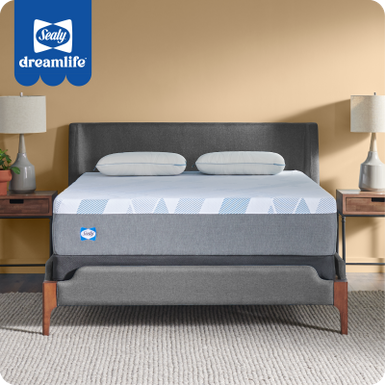 Sealy&reg; Dreamlife&trade; 12" Foam Mattress-in-a-Box, Queen