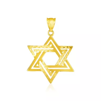 image of 14k Yellow Gold Textured Star of David Pendant with sku:d61132941-rcj