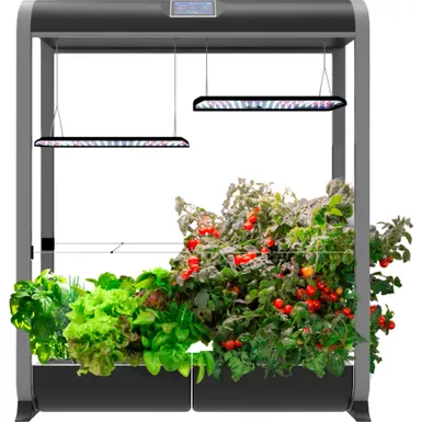 AeroGarden - Farm 24XL with Salad Bar Seed Pod Kit - Hydroponic Indoor Garden - Black