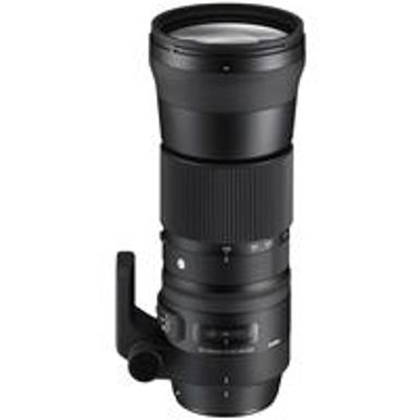 image of Sigma 150-600mm F5-6.3 DG OS HSM  Contemporary  Lens with 1.4X Tele-Converter Kit for Nikon with sku:sg150600cnkk-adorama