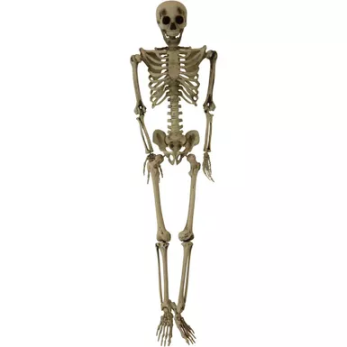 Life-Size Skeleton Prop, Indoor/Covered Outdoor Halloween Decoration