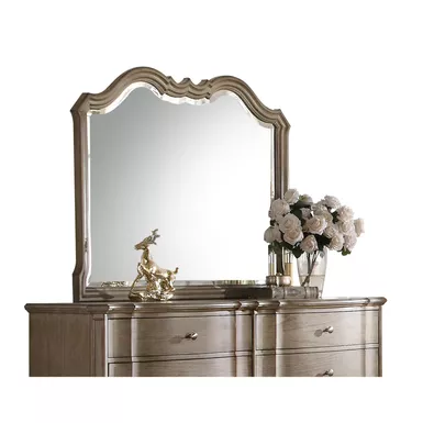 image of ACME Chelmsford Mirror, Antique Taupe with sku:26054-acmefurniture